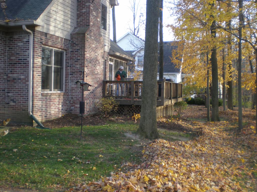 True Care Lawn Service Indianapolis IN 46218 3177094478